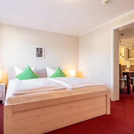 Stone 3* זינקסט